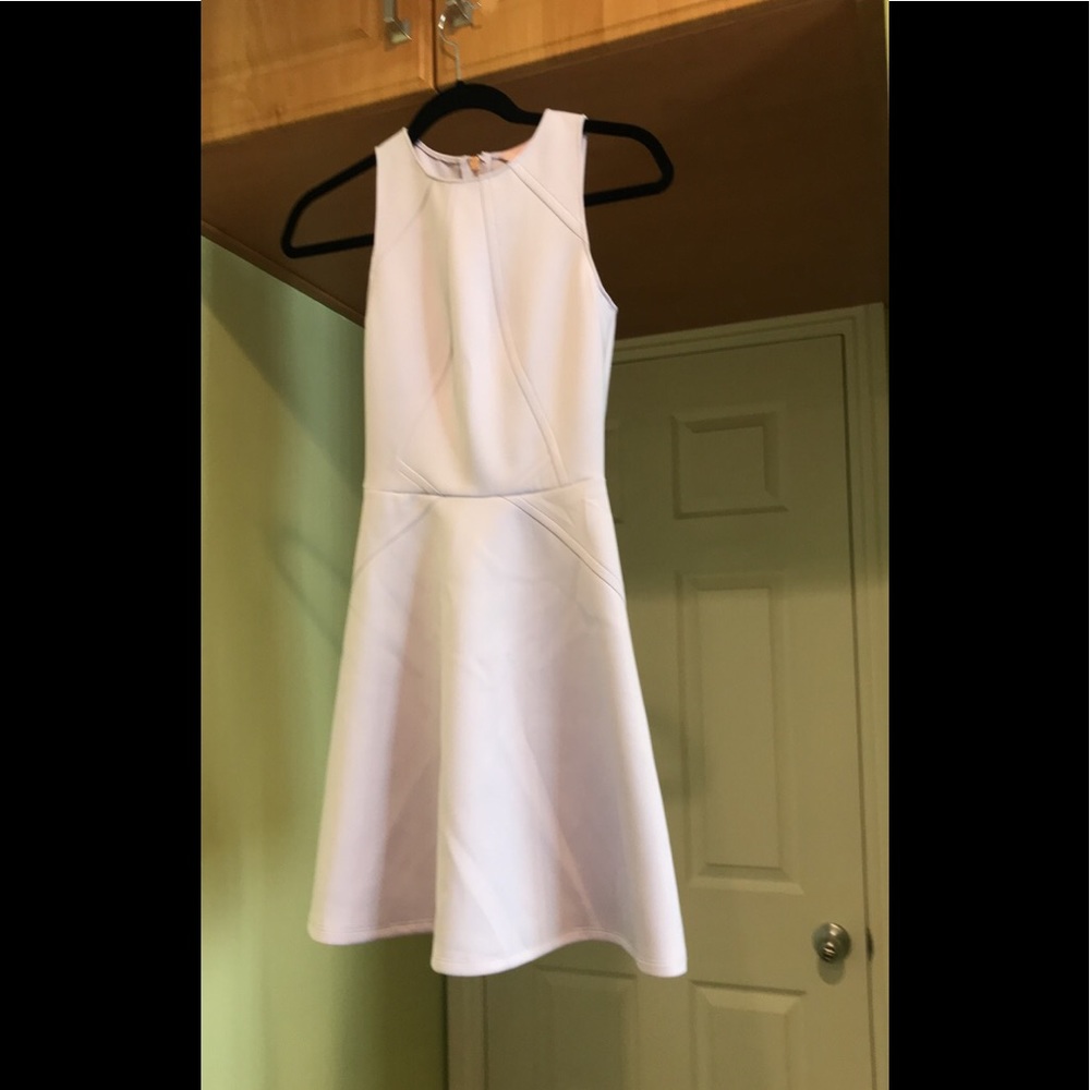 Ted Baker size 0 lavender colored dress. Worn once